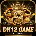 DK12 Game